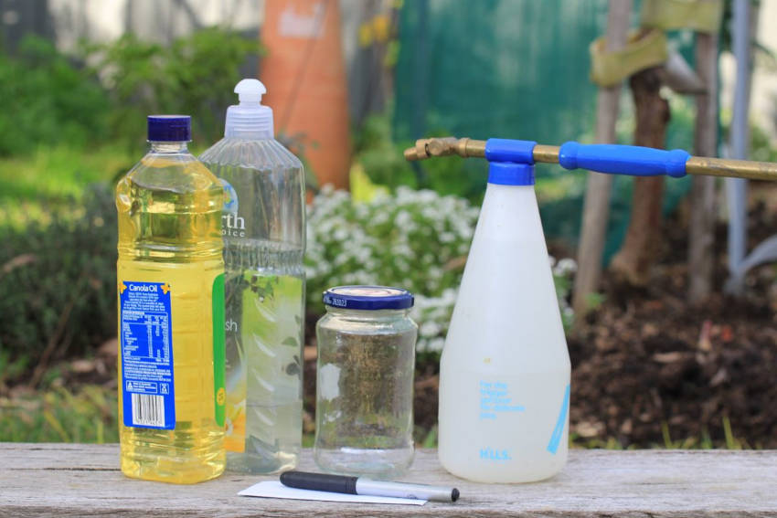 DIY White Oil The Seed Collection